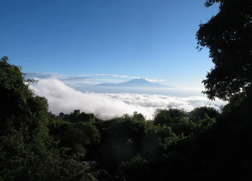 3 Days  Mount Meru Trekking