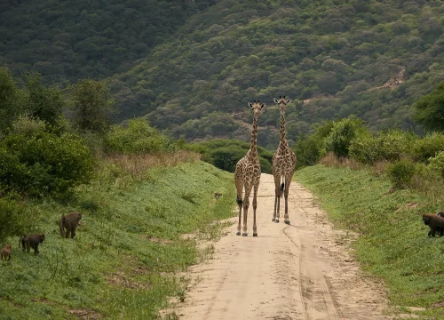 3 Days Waterfall Ngorongoro Crater and Lake Manyara Safari