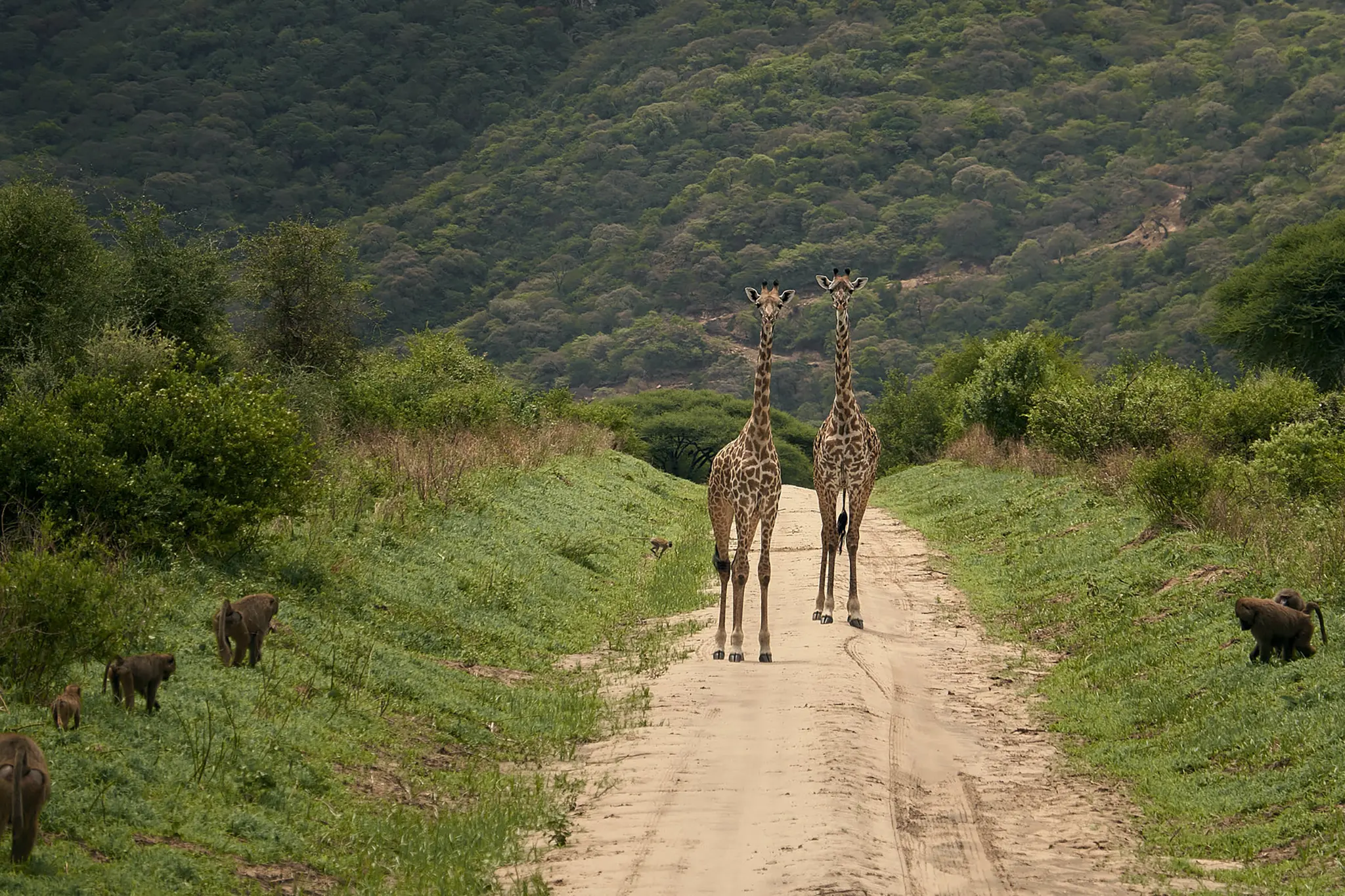 3 Days Waterfall Ngorongoro Crater and Lake Manyara Safari