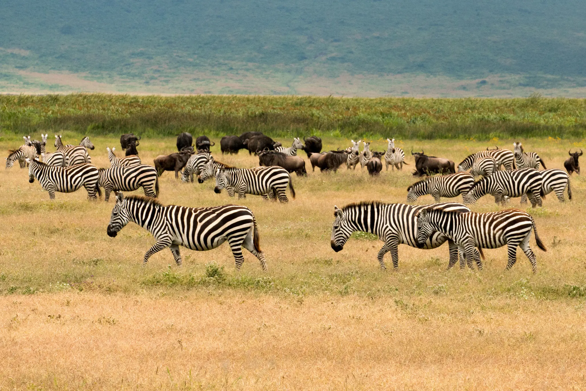 5-Night Serengeti, Ngorongoro Crater and Lake Eyasi Safari