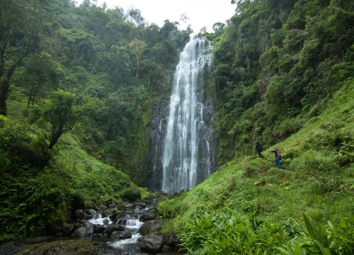 Materuni & Chemka Hotsprings Day Trip