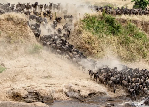 Serengeti National Park